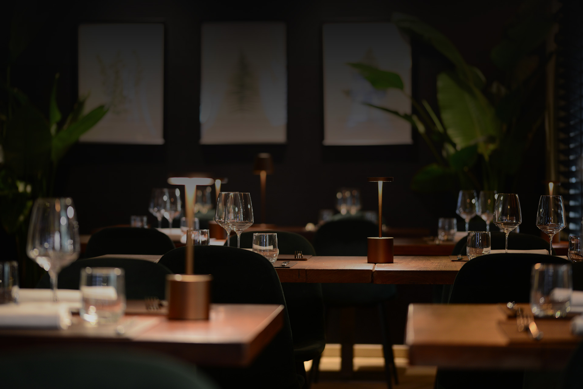ISI Bistrot – Concept Ivano Ricchebono – Genova